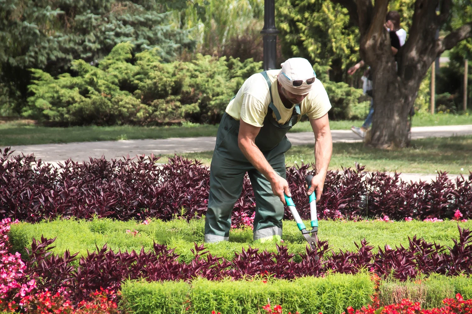 Professional garden care