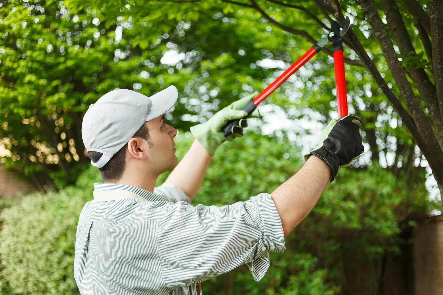 Commercial Landscaping