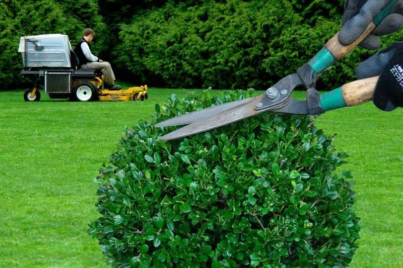 Lawn Care